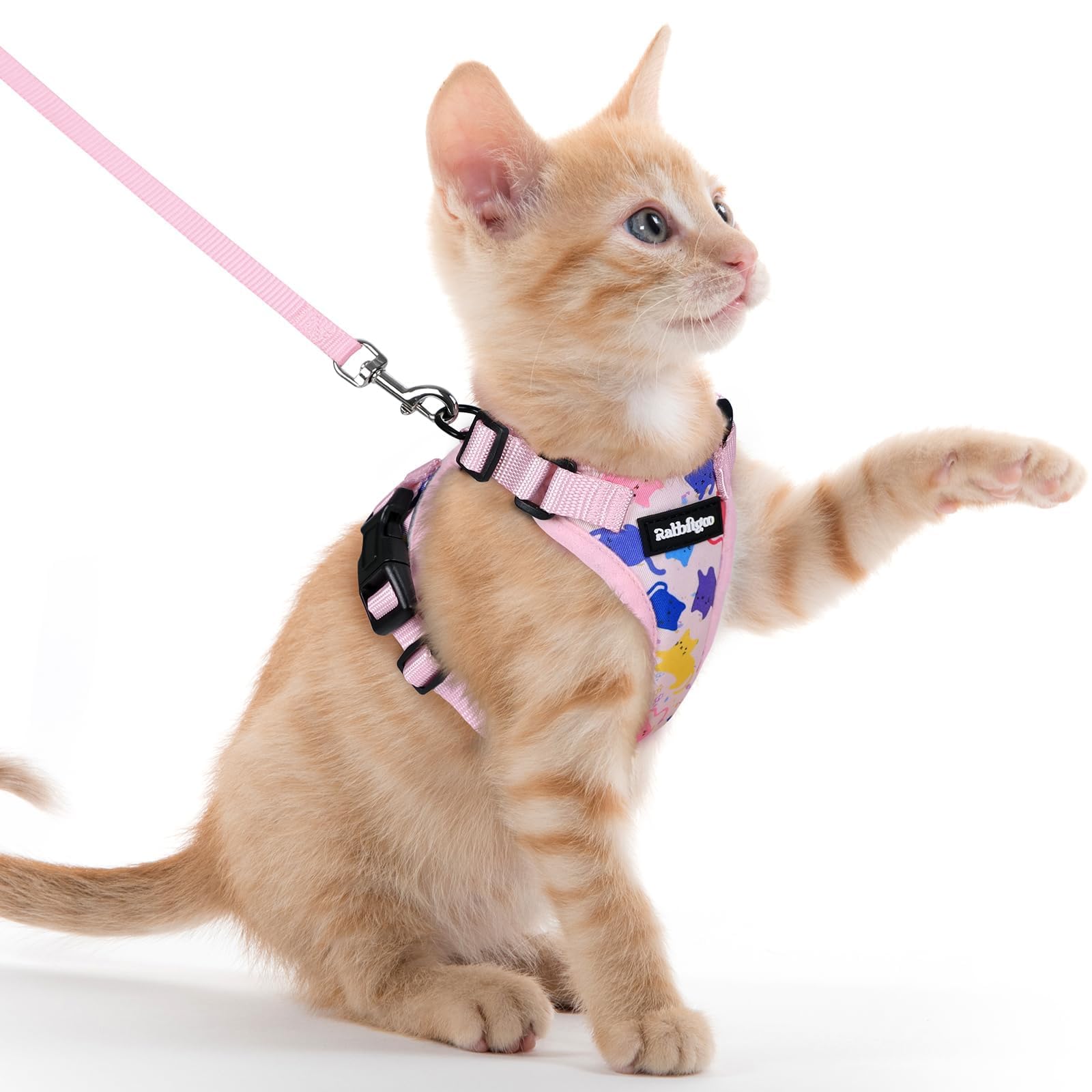 rabbitgoo katzengeschirr mit Leine ausbruchsicher für Katze Verstellbares Brustgeschirr Reflektierendes Softgeschirr mit katzenleine Weich und Bequem für Kätzchen