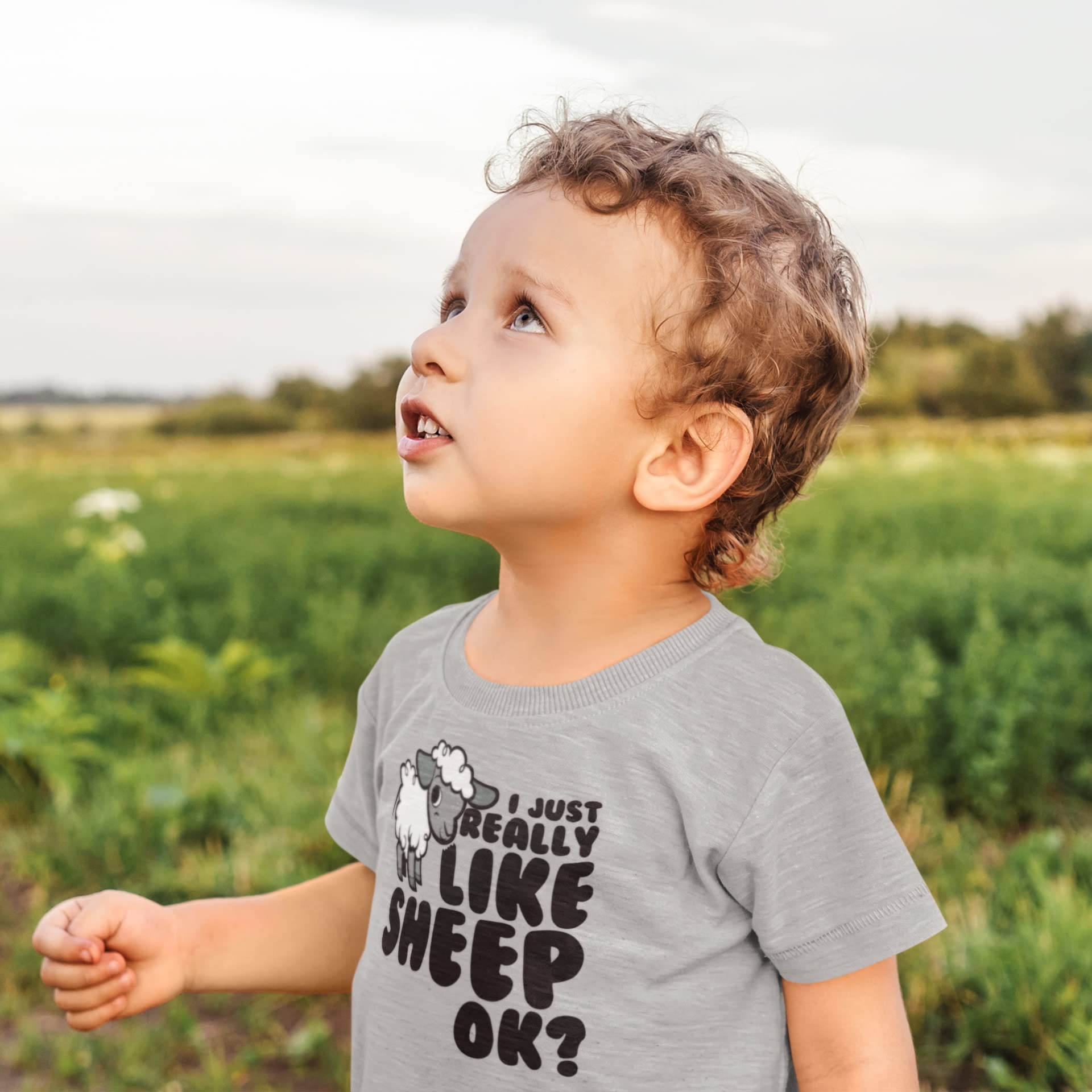 I Just Really Like Sheep Cute Toddler T Shirt Heather 2T