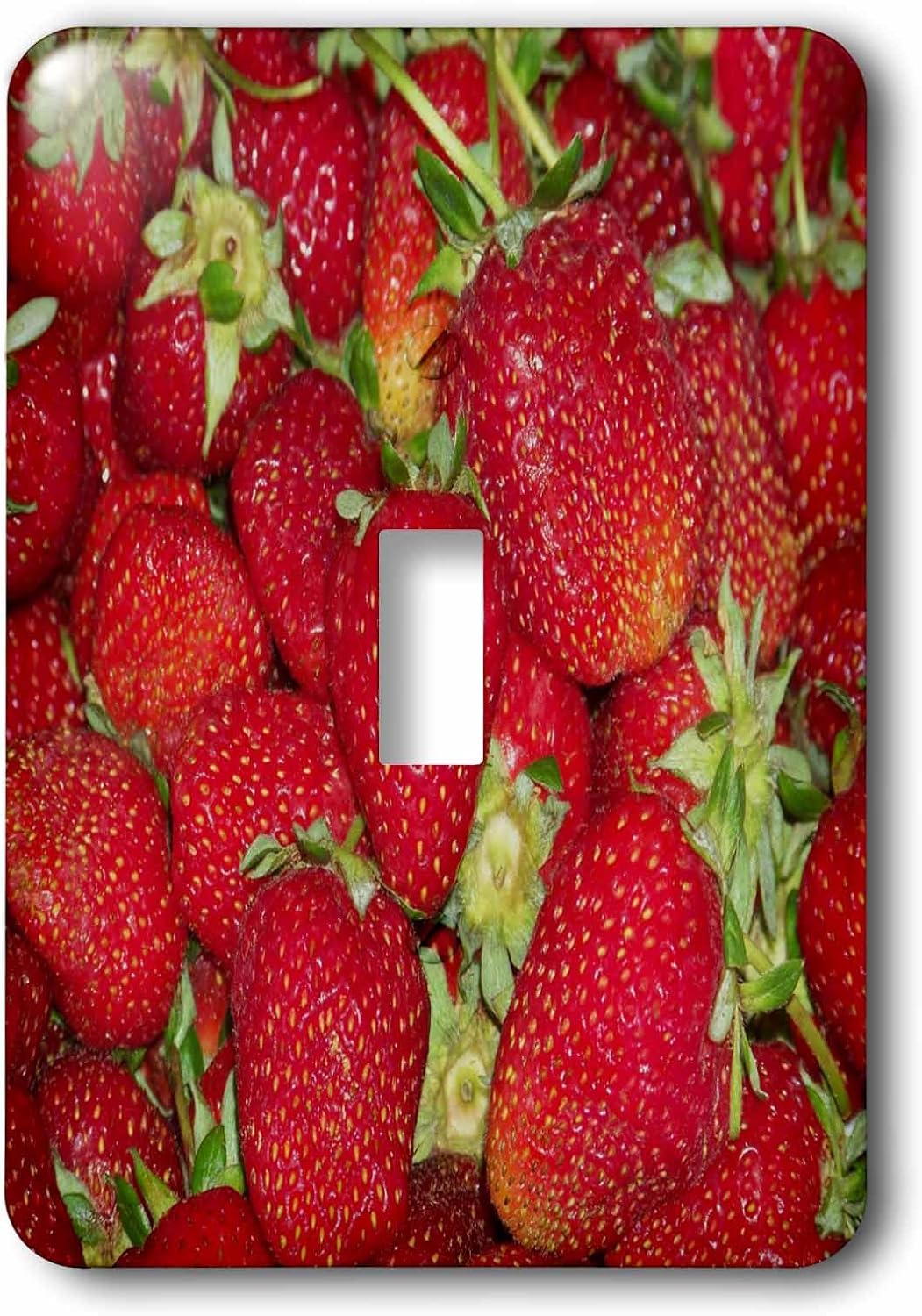 3dRose Strawberries Anne Grant Photo 2 plug outlet cover image 2