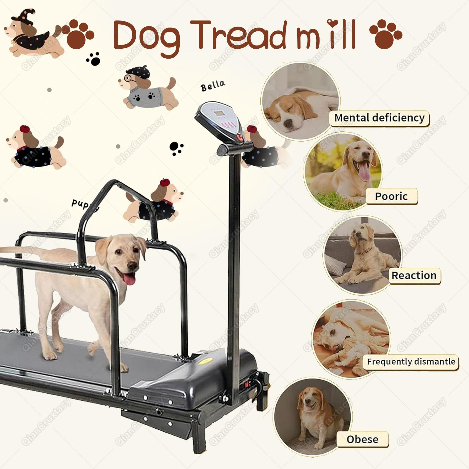 Máquina de Entrenamiento para Perros con Pantalla LCD, Cinta de Correr para Uso Doméstico, Funcionamiento Silencioso, Capacidad Máxima 175 lbs, para Mascotas Activas