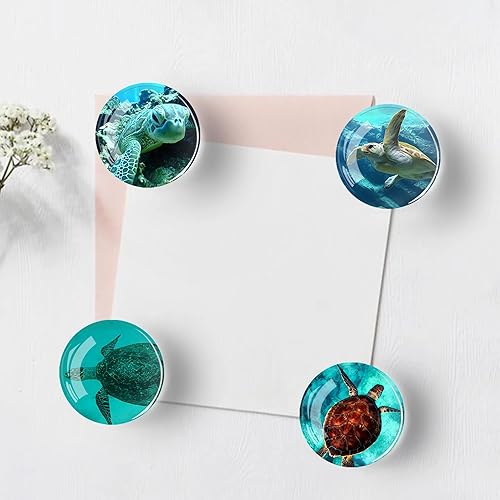 Miniatura 116 de 12 imanes de cristal para nevera, decoración de imanes de nevera de pájaro para manualidades, imanes de nevera fuertes para cocina, escuela