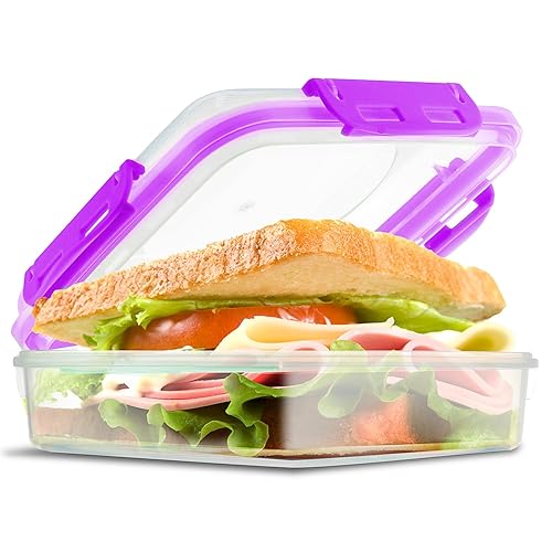 Tafura Sandwich Containers | Sandwich Box | Lunch Containers |