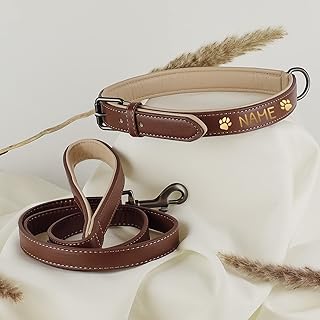 ne&no® Halsband und Leine Set (veganes Leder) PERSONALISIERT | Hundeleine mit Halsband I robuste Hundeleine mit Karabiner I 1.2m Dog Leash I biegsam und extra weich (M, braun/beige)