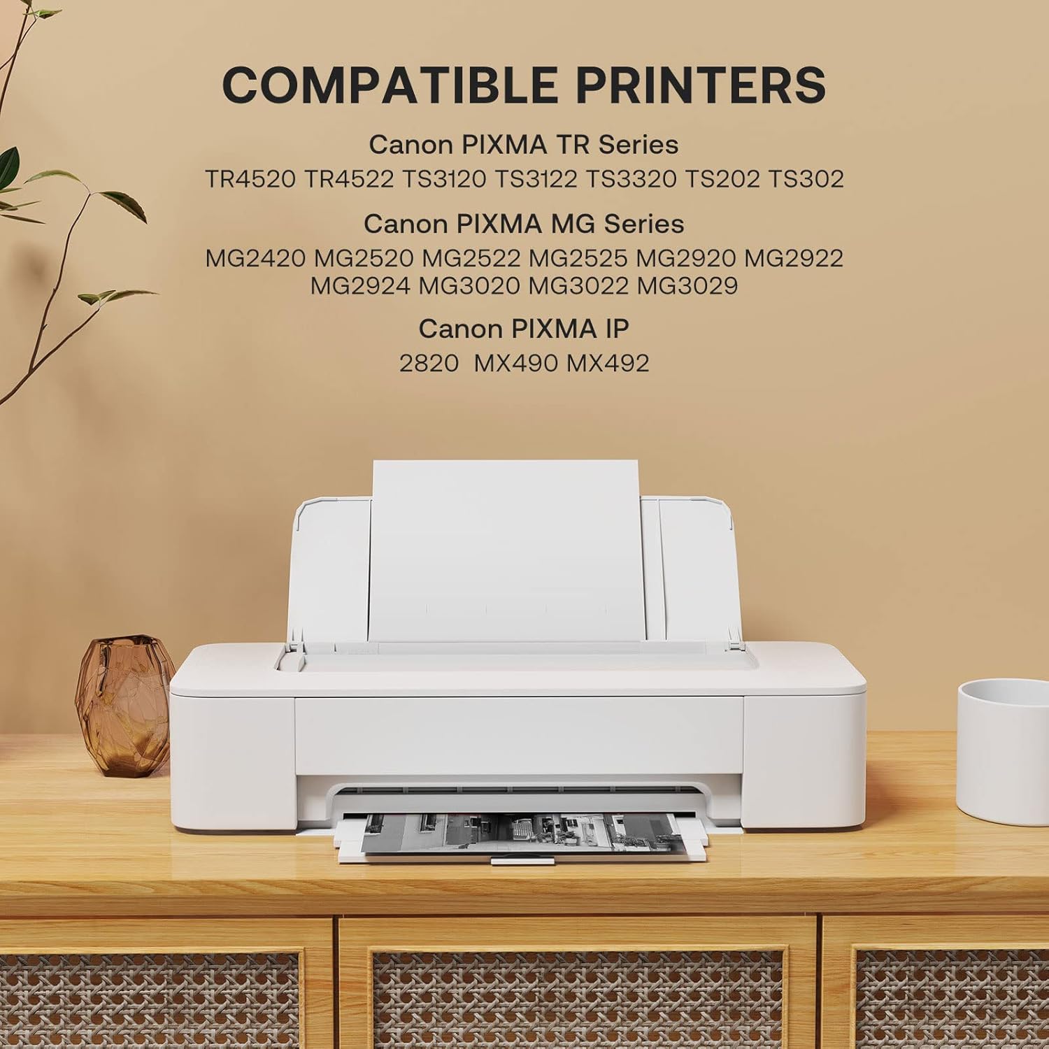 Remanufactured Ink Cartridge Replacement for Canon 245XL for PIXMA MG2420 MG2520 MG2522 MG2525 MG2920 MG2922 MG2924 MG3020 MG3022 MG3029 TR4520 TR4522 TS3120 TS202 Printer (Black 2 Pack)