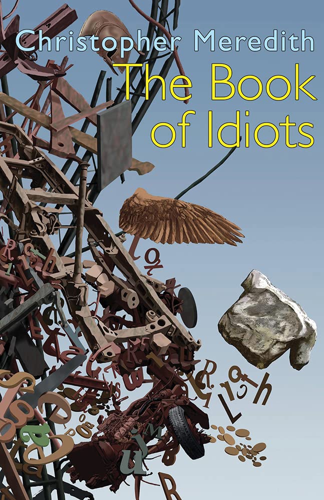 Seren Books The of Idiots