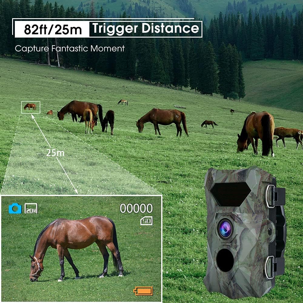 Diagram illustrating the 82ft/25m trigger distance of the trail camera in a field with horses.