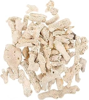 Crushed Coral Filter for Aquarium, 1.1 LB Natural Coral Stone for Freshwater Aquarium PH Fish Tank Filters Media Bottom Landscape Decorations