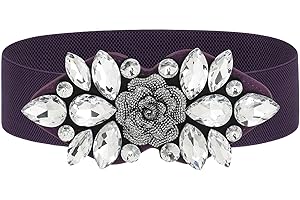 Purple Rhinestone Belt: Elevate Your Style with Enchanting Sparkle
