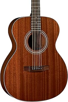 Amazon.com: Bristol by Blueridge 6 String Bristol BM-15S Solid Top Amazon.com: Bristol by Blueridge 6 String Bristol BM-15S Solid Top