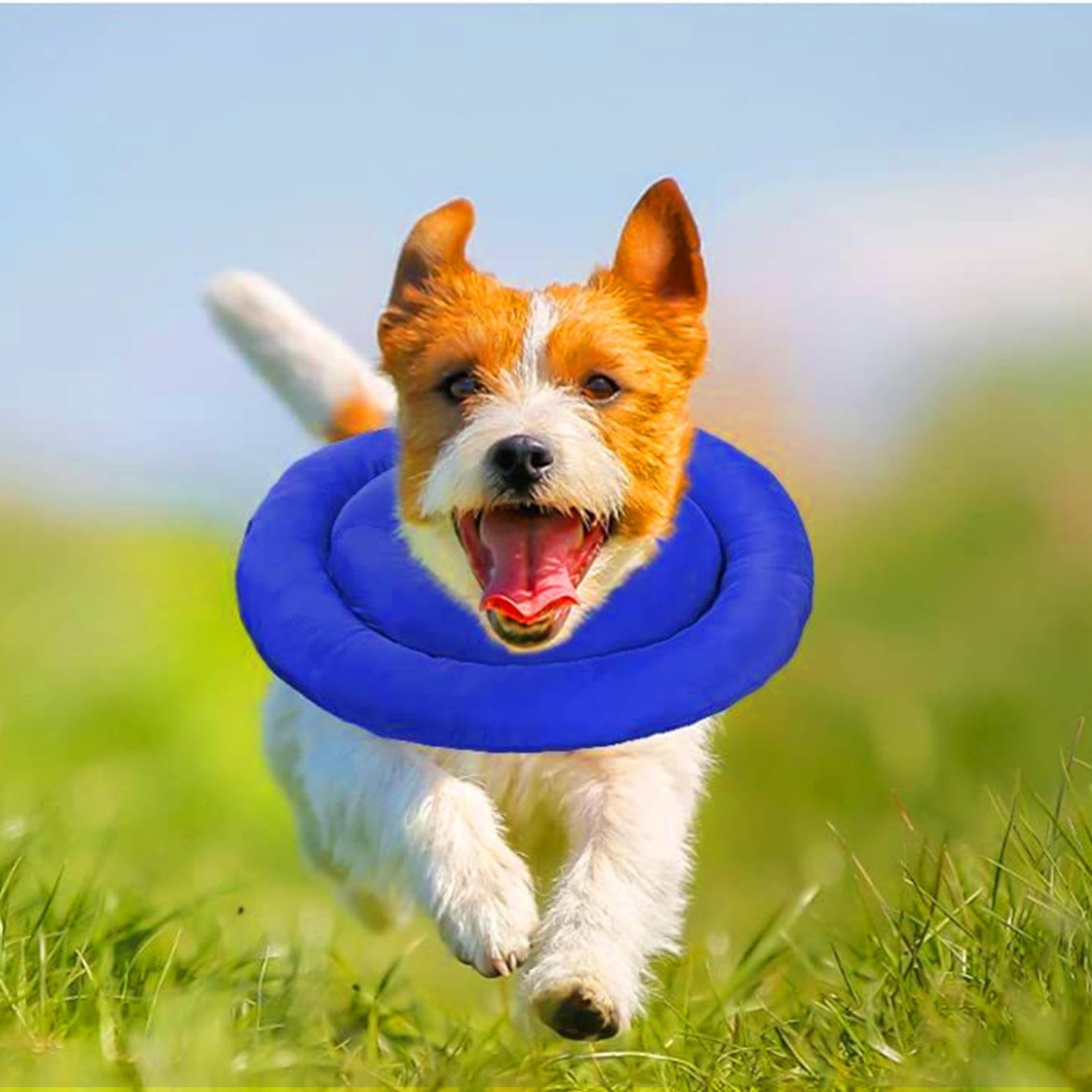 Beschermende Halsband Voor Katten - Geen Bijten, Geen Likken Verstelbaar En Zacht Voor Postoperatief Herstel Van Het Dier
