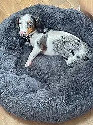 Cama Pet Nuvem Cachorro Gato Dog Caminha 70 Cm Grande Pelucia (CINZA)