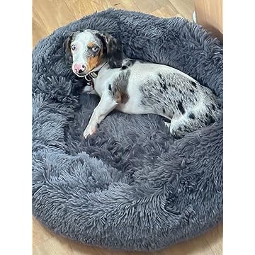 Cama Pet Nuvem Cachorro Gato Dog Caminha 70 Cm Grande Pelucia (CINZA)