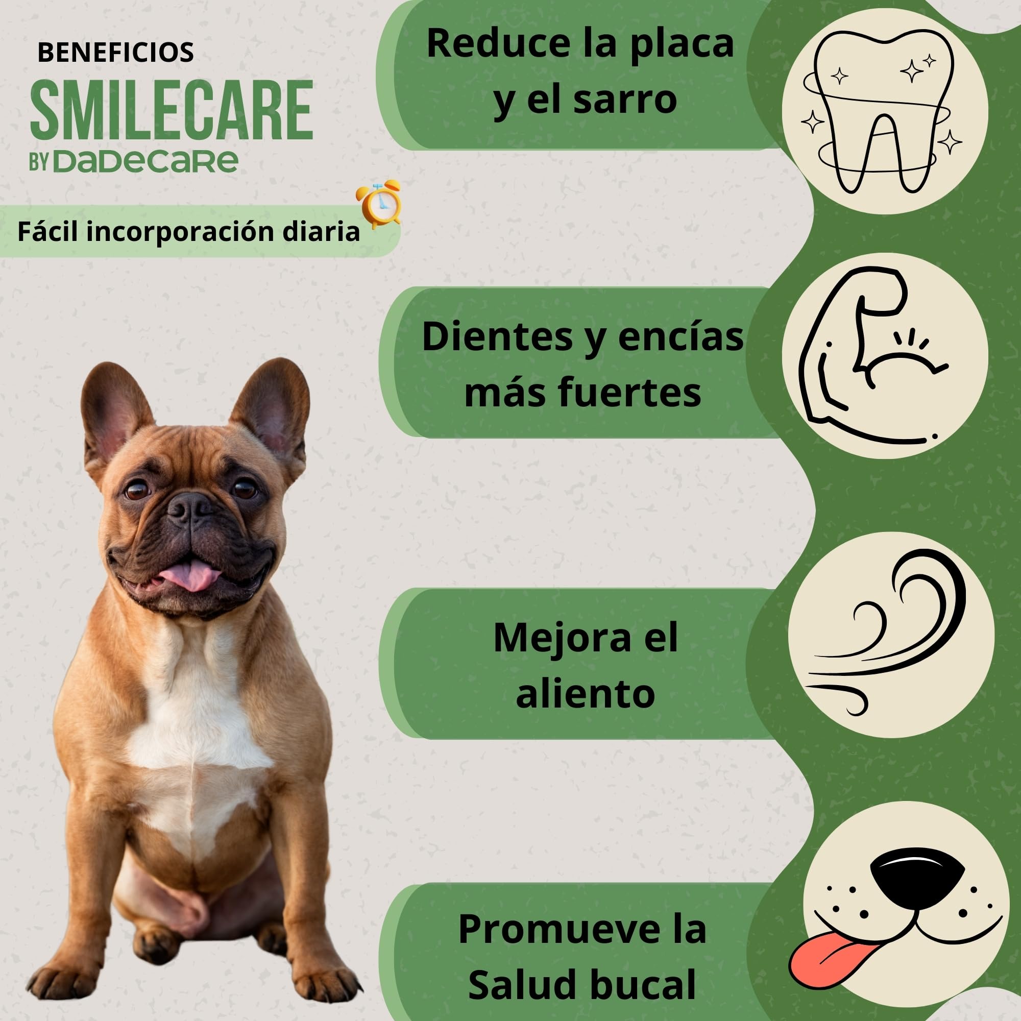 Smilecare - Polvos para Mal aliento 220gr Alga Kelp - Alternativa Natural Pasta De Dientes Para Perros Y Gatos, Mejora Aliento, Reduce Sarro, Prevención Problemas Dentales - Sin Cepillado Diario
