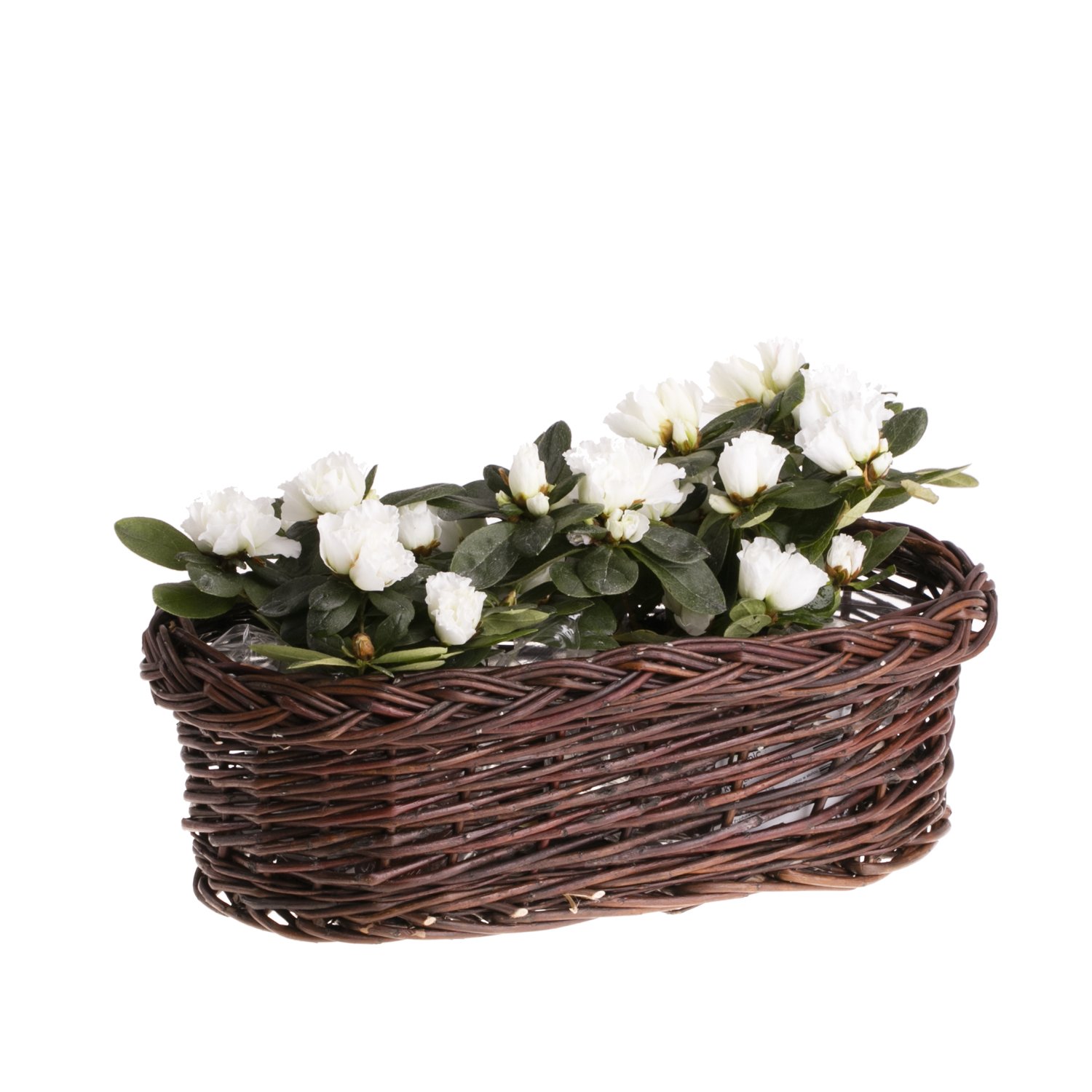 e-wicker24 Jardiniére Ovale pour Plantes,Cache-Pot Pot de Fleurs boîte à Fleurs en Osier Marron Naturel,Pots de Fleurs (100 x 28, H: 18) (80x28 H18)