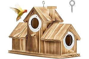 Nature-Inspired Birdhouse: A Haven for Backyard Bird Sanctuary