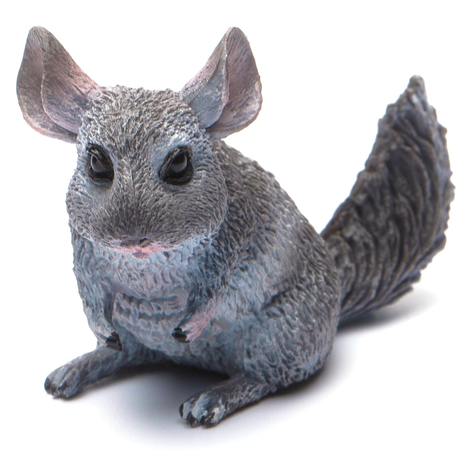 Amazon.co.jp: COLLECTA 動物フィギュア チンチラ 88722 : おもちゃ