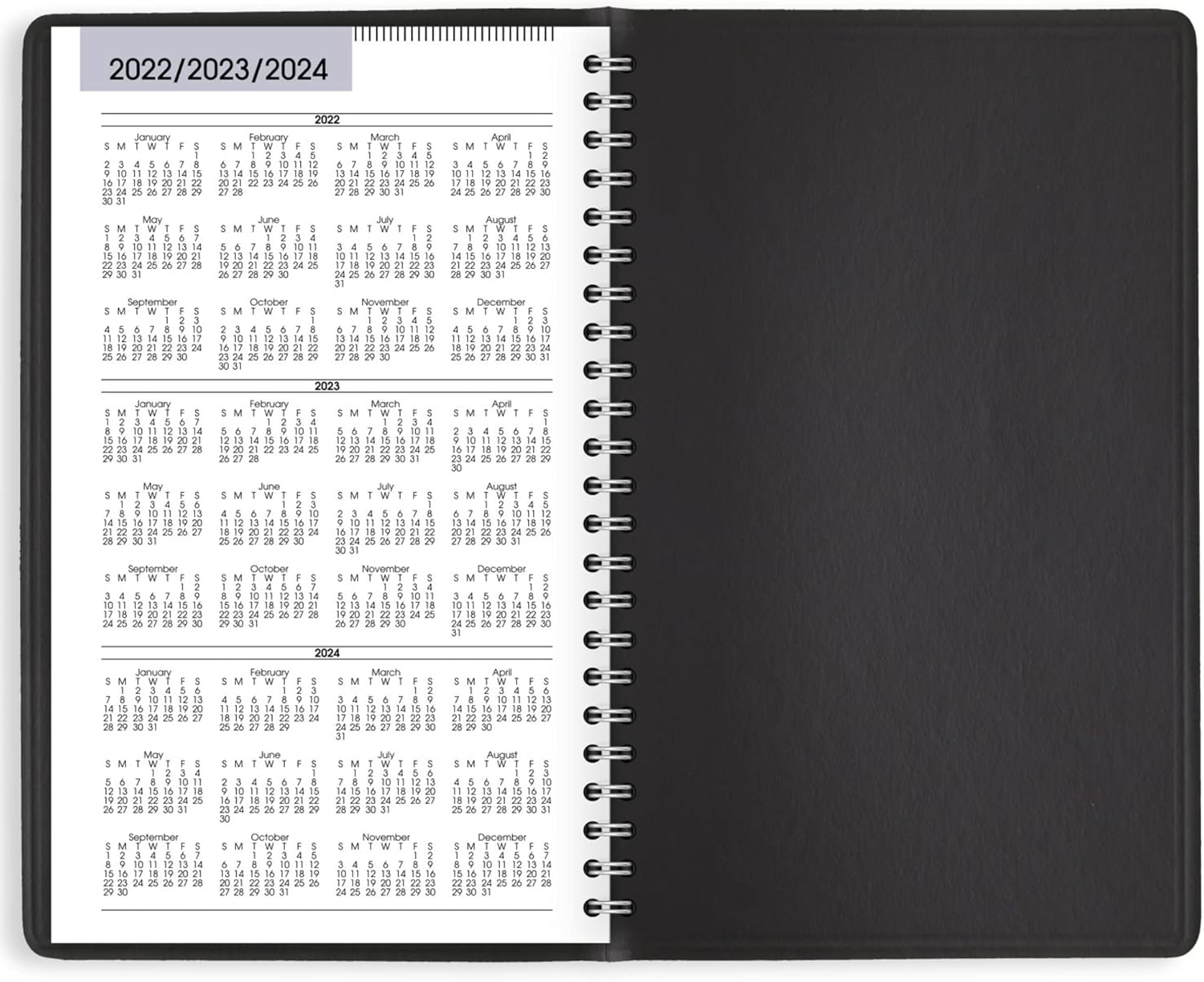AT-A-GLANCE 2023 Weekly Planner, DayMinder, Hourly Appointment Book, 5" x 8", Small, Black (G20000)
