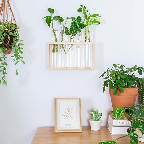 Miniatura 96 de Ivolador - Terrario de cristal colgante, maceta para plantas hidropónicas, decoración para el hogar