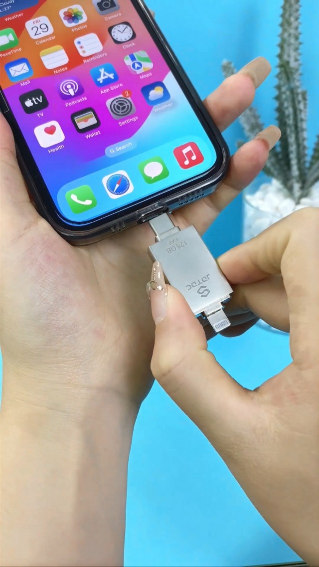 Genuine 256GB Real Capacity Apple MFi Certified iPhone-Photo-Stick