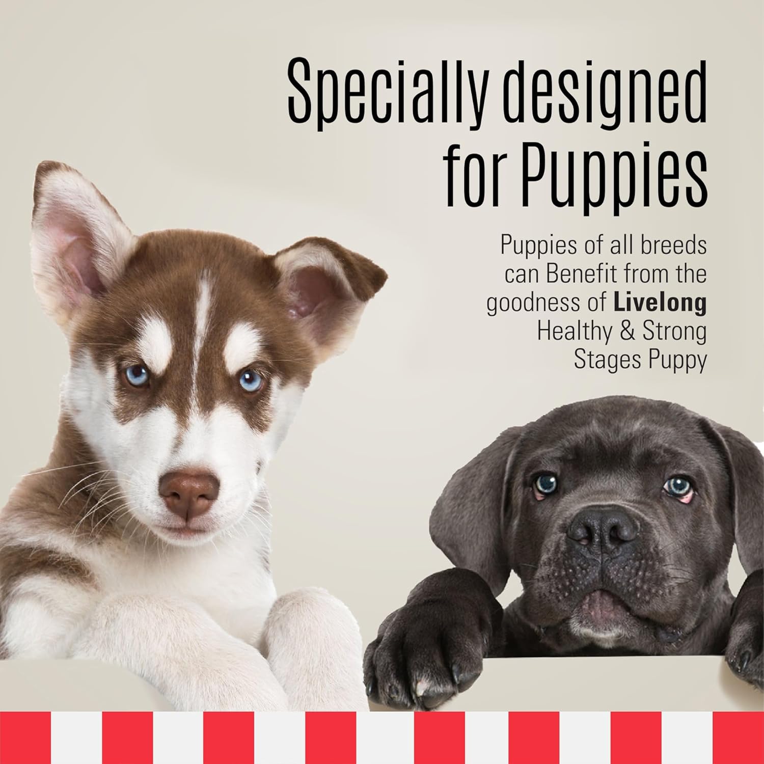 Livelong Healthy & Strong: 12 Pack: Stages Puppy - Chicken Meat, 12.5oz Cans, Wet Dog Food, High Protein, All Natural, No Preservatives, USA Made