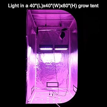 MAXSISUN 600W LED Grow Light, Full Spectrum LED Grow Lights
