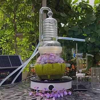 71CTOS7wq9L._AC_UF350,