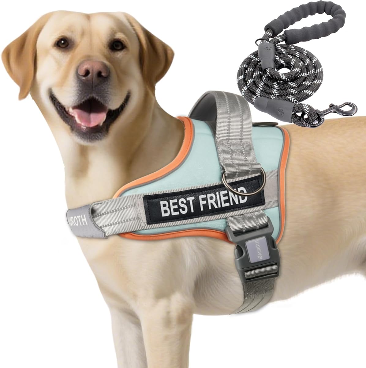 AUROTH Dog Harness for Large Dogs No Pull Tactical Harness and Leash Set | with Leash Clips, LED light clip, Breathable Mesh Padded No Choke, Easy Walking and Training, Macaron Blue, Large