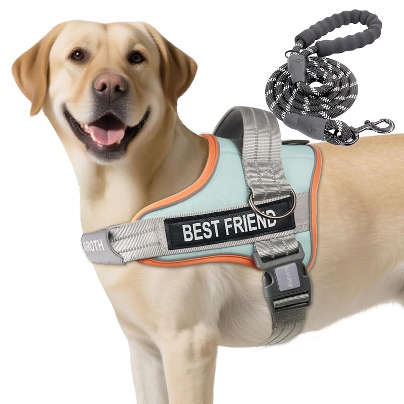 Peitoral antipuxão para cães grandes AUROTH em nylon com guia Macaron Blue, tamanho L