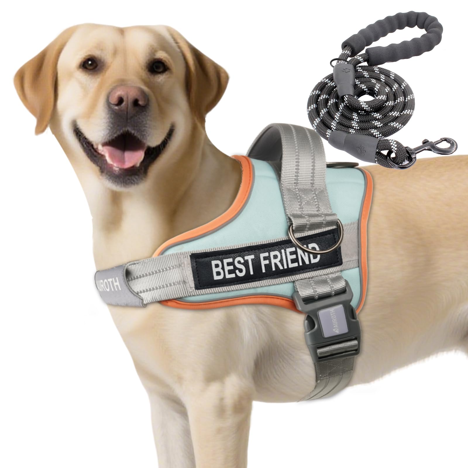 AUROTH Dog Harness and Leash Set