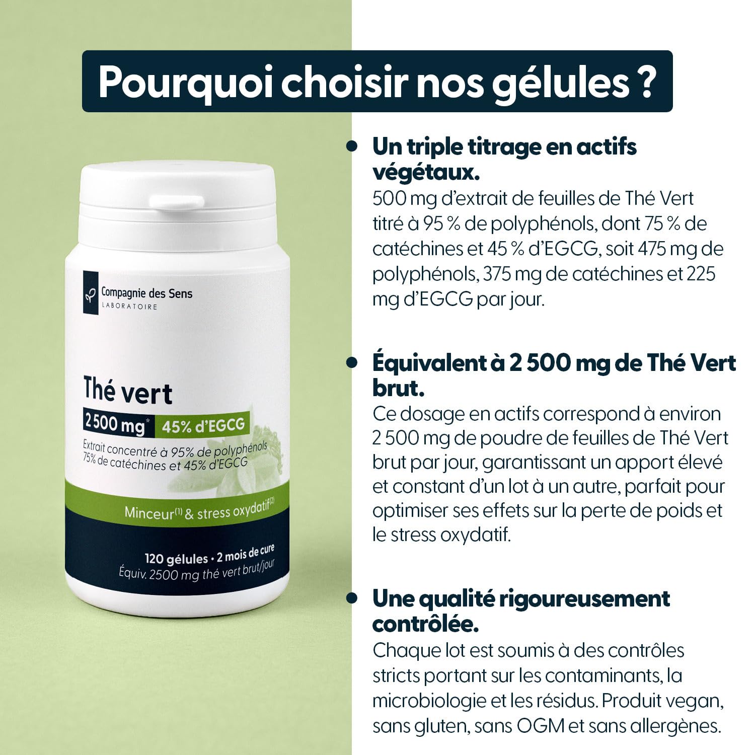 La Compagnie des Sens - Thé Vert Concentré 500 mg/jour - Triple Titrage 95% Polyphénols, 45% EGCG - 360 gélules végétales (6 mois) - Fabriqué en France