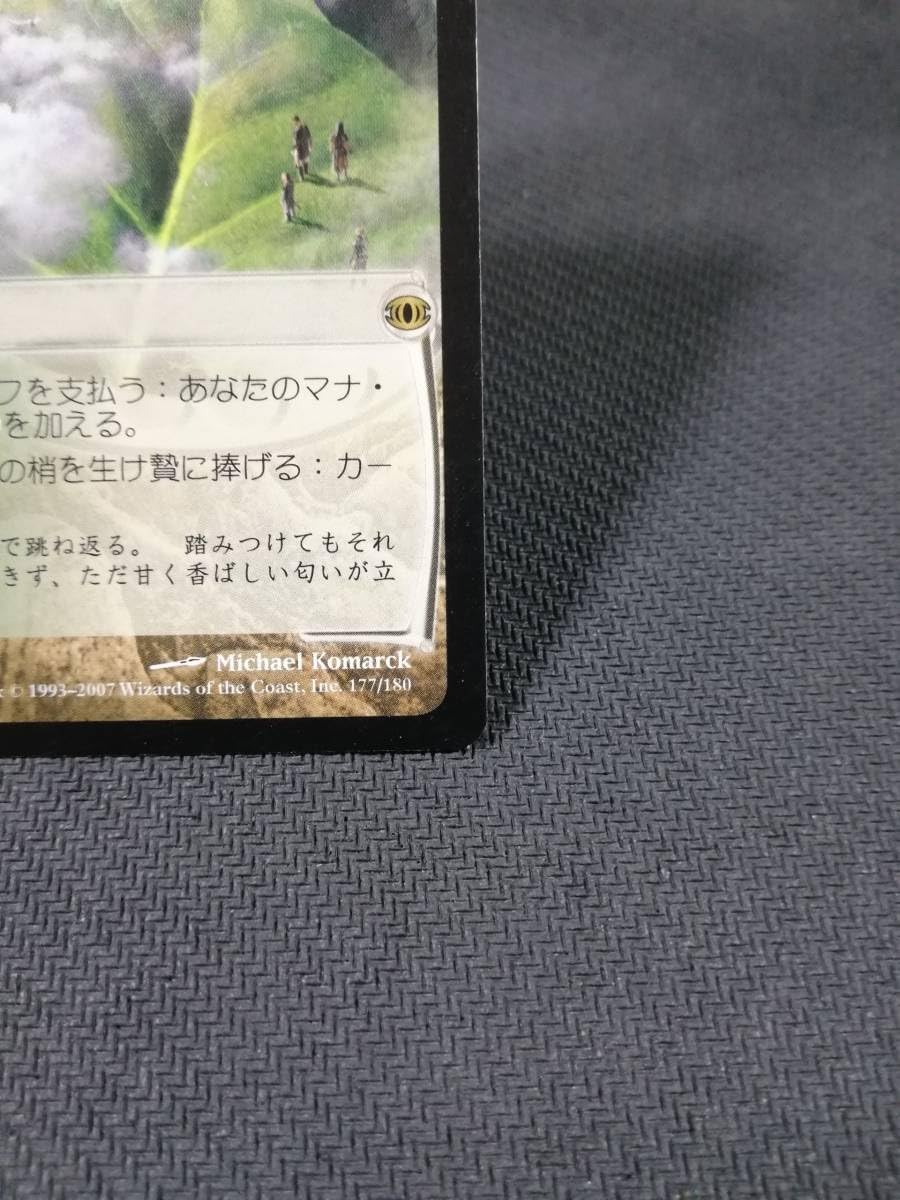 マジック：ザ・ギャザリング - MTG 地平線の梢 日本語版2枚 英語版2枚 未来予知 地平線の梢/Horizon Canopy》[IMA] 土地R | 日本最大級 MTG通販
