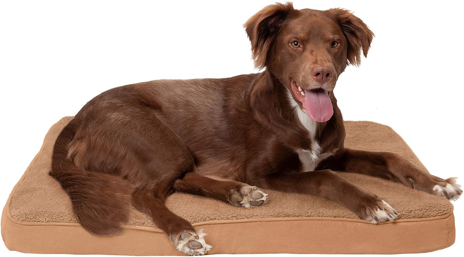 Furhaven Pet Bed for Dogs and Cats - Snuggle Terry and Suede Mattress Memory Foam Dog Bed, Removable Machine Washable Cover - Camel, Large