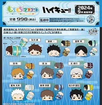 ハイキュー‼︎ もちもちマスコットWA vol.1 vol.2 もちマス Amazon.co.jp: もちもちマスコットWA ハイキュー!! vol.2 BOX