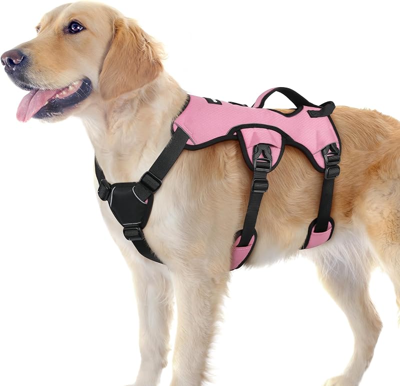 Peitoral Vest para Cães Grandes rabbitgoo com Alça de Elevação e Ajuste Antifuga
