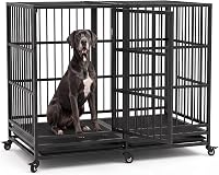 Best Heavy Duty Dog Crates