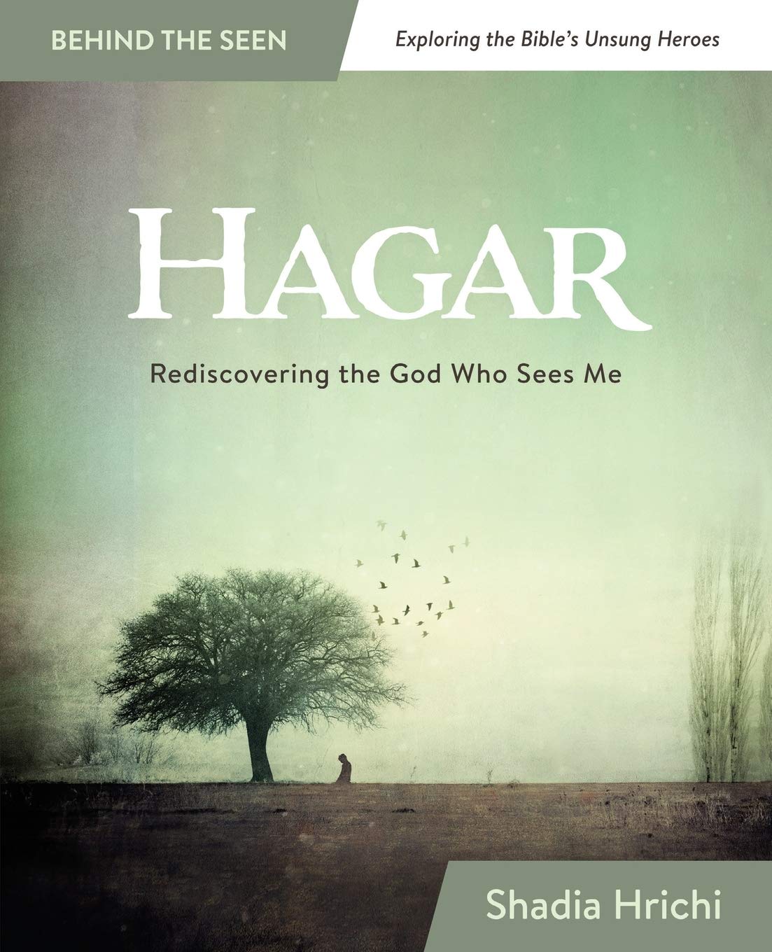 Hagar: Rediscovering the God Who Sees Me