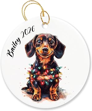 Dachshund Brown Christmas Ornament, Personalized Dachshund Brown Xmas Ornament Gift for Sister Brother, Cute Dog Decor Xmas Ornament, Custom Name Dog Pet Christmas Ornament 2026