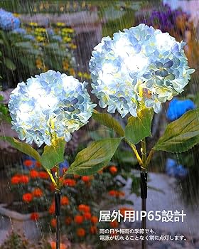 『弾む紫陽花』 1742445-4909758742445-01.jpg?v