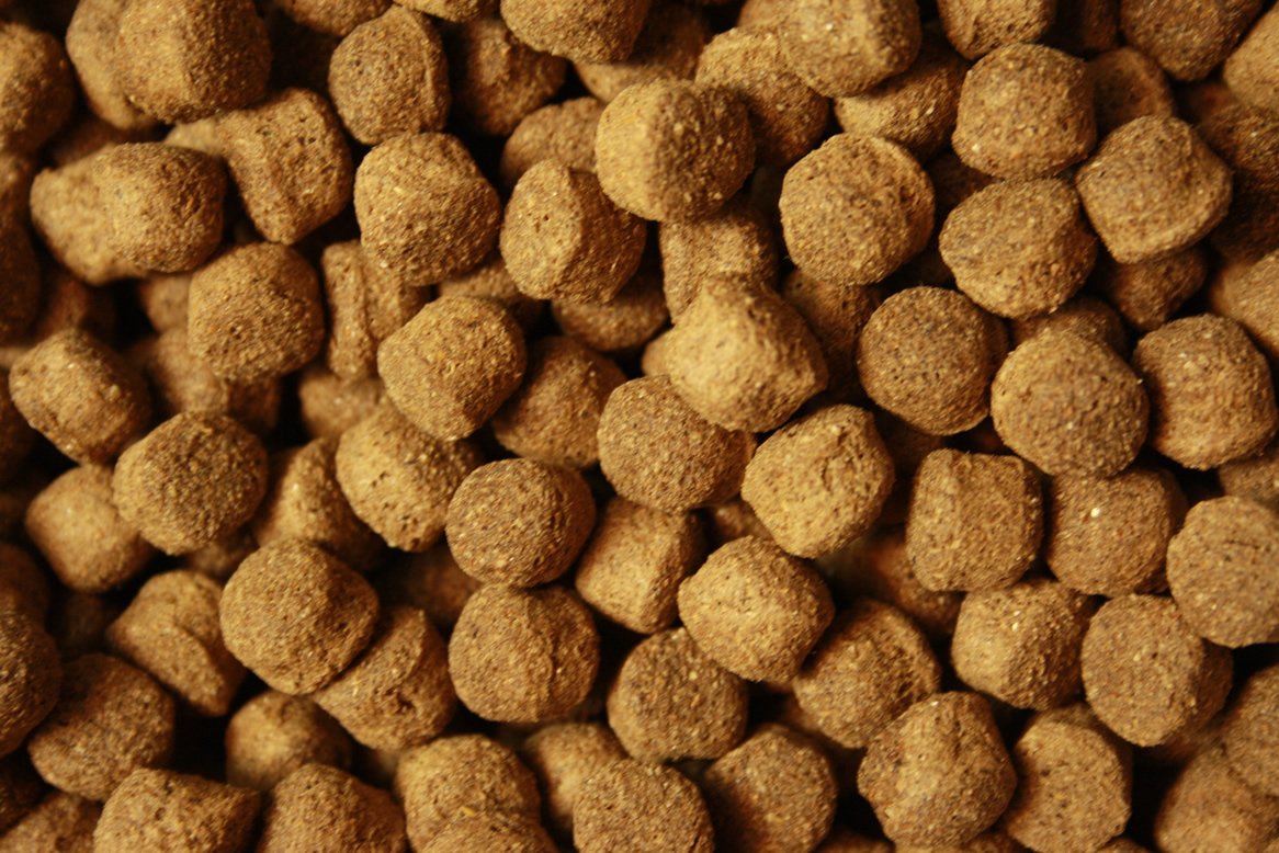 Koifutter Schwimmfutter 8mm Koi Pellets Ganzjahresfutter für große Koi Jumbo Koi leicht verdauliches Koi-Fischfutter arktische Rohstoffe Tomodachi Koi-Schwimmfutter 8mm 15kg