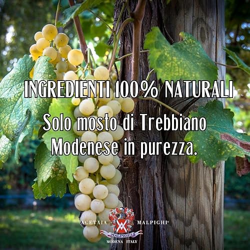 Miniatura 7 de Prelibato - Aderezo Blanco - Envejecido 5 - 6,8 oz (6.8 fl oz)