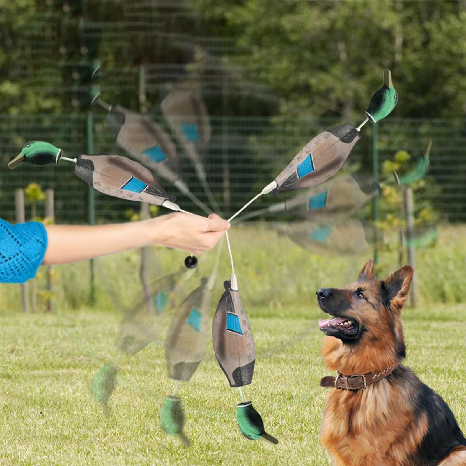 View 3