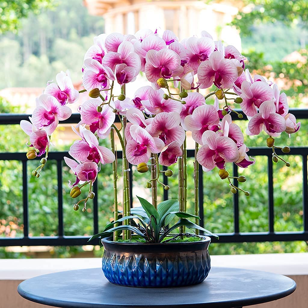 Fleur Artificielle Élégante Fausse Orchidée Plante en Pot de Luxe Fleurs artificielles Phalaenopsis Arrangement de Plantes Fleurs artificielles Décoration Belle Forme