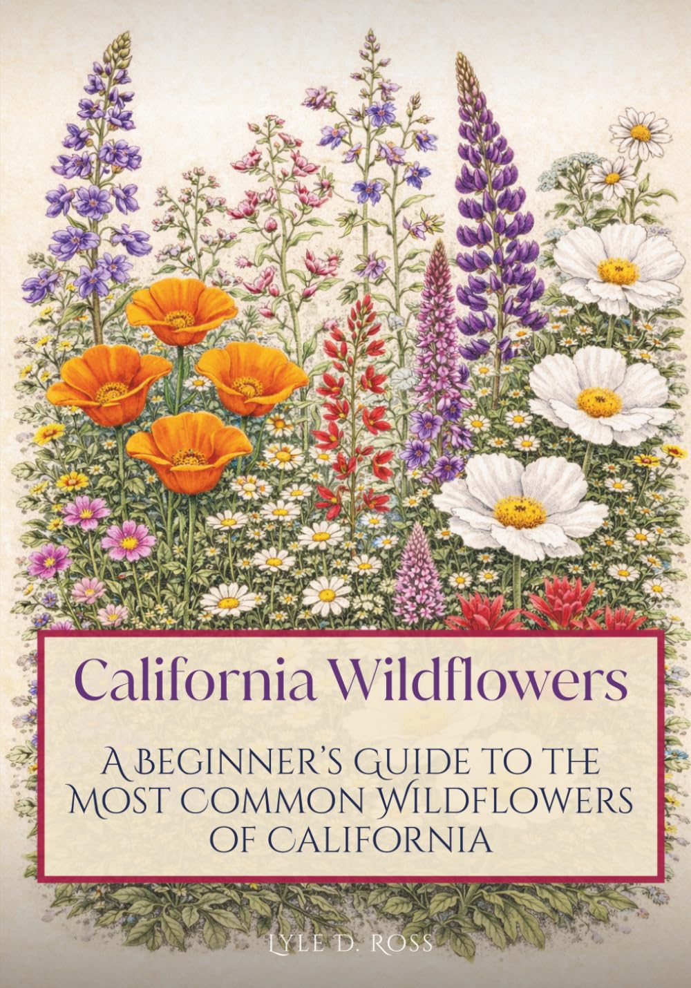 California Wildflowers: A Beginner’s Guide to the Most Common Wildflowers of California