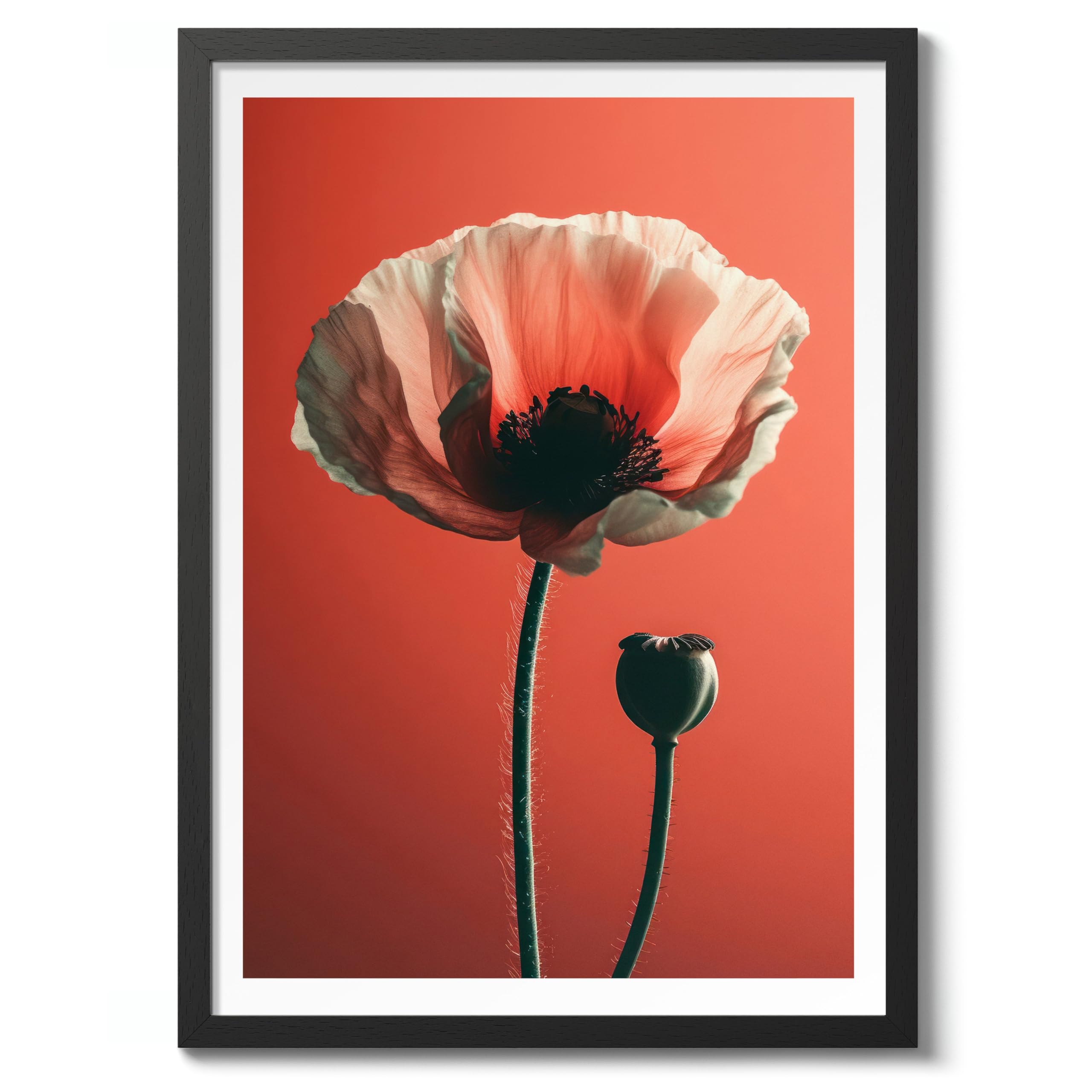 Poppy Flower Poster, Colourful Floral Home Decor Wall Art, Abstract Colourful Minimalist Bedroom Artwork Gallery, Archival Matte, A2 (Black Frame) - 59.4x42cm