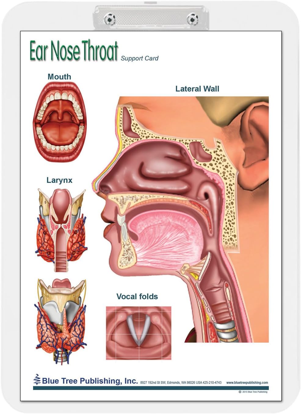 Ear Nose and Throat Insert Clipboard