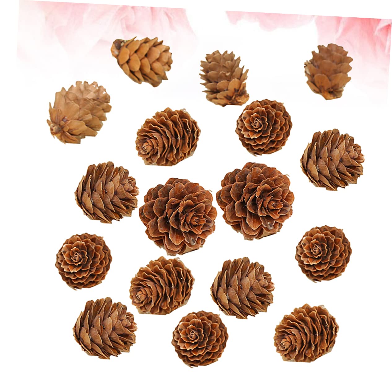 210piezas Decoraciones de Piñas Naturales Mini Piñas Secas de Adorno Vegetal para Acción de Gracias y Navidad para Decoración de Hogar