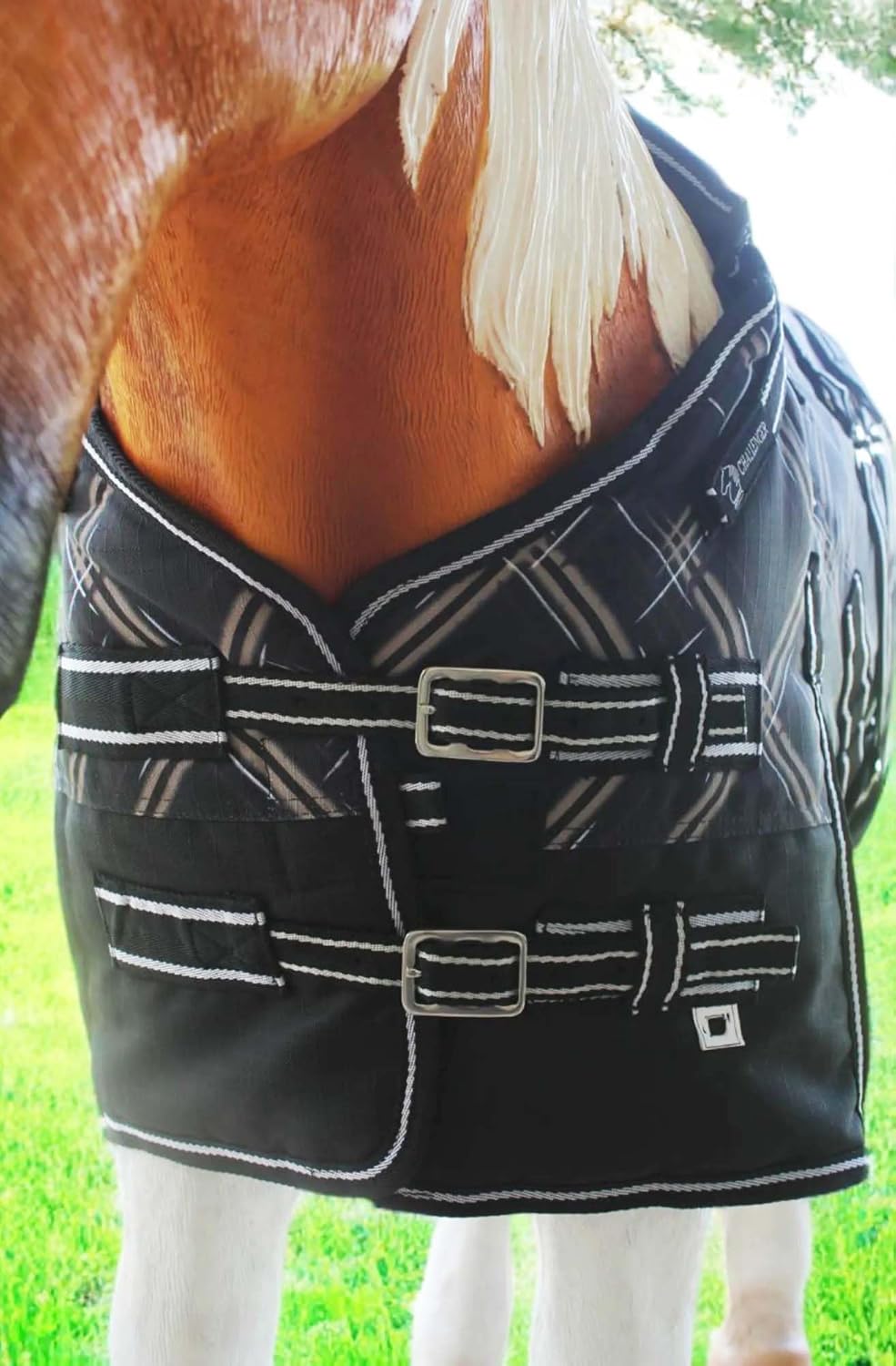 Challenger 1200D Miniature Weanling Donkey Pony Horse Foal Winter Blanket 51987BK