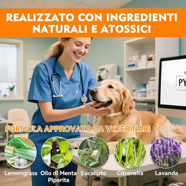 Pesticide Collar for Dogs, Adjustable and Waterproof with Natural Protection, 65 cm Suitable for All Sizes, Effective Protection for 12 Months (1 Pack) - 3