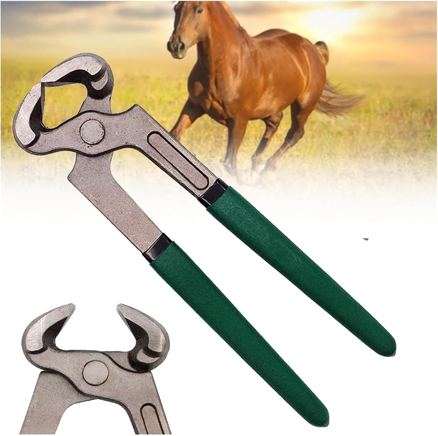Goats Hoof Nipper 8in Horse Hoof Nipper Trimmer,Multifunctional Farrier Tools, Farrier Nippers,Horseshoe Pliers Hoof Trimming Tools Horse Equipment for Cattle Sheeps Horses