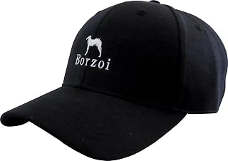 Casco Cap 运动帽 男士 BZC-2330WB